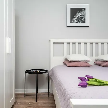 Appartamento Apartament Nad Skawa *